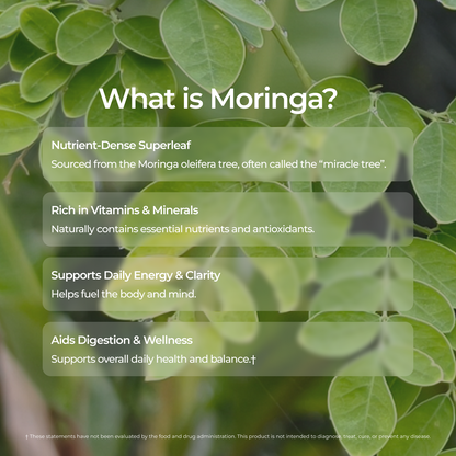 Livingood Daily Coffee + Moringa Ground Medium Roast