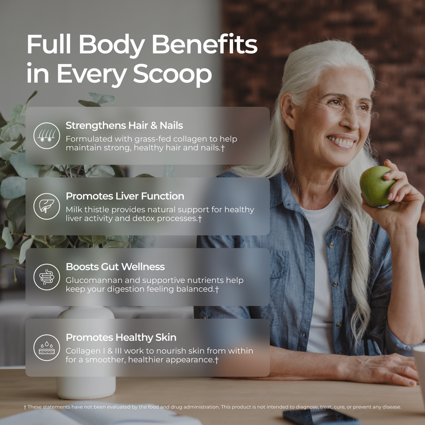 Chocolate Collagen + Multivitamin