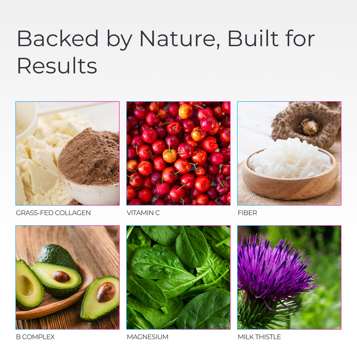 Unflavored Collagen + Multivitamin