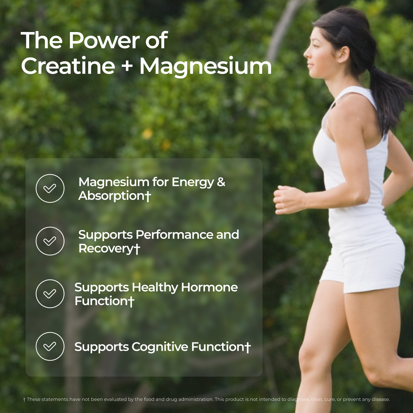 Livingood Daily Creatine + Magnesium (1-Pack)