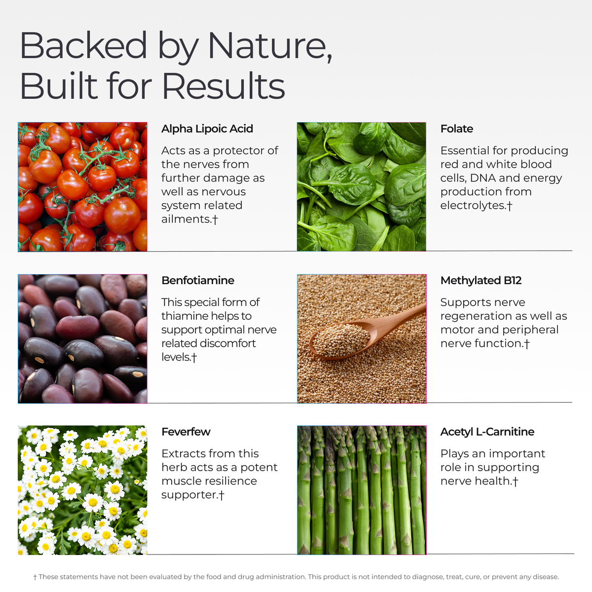 Livingood Daily Nerve Support