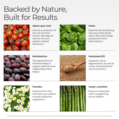Livingood Daily Nerve Support