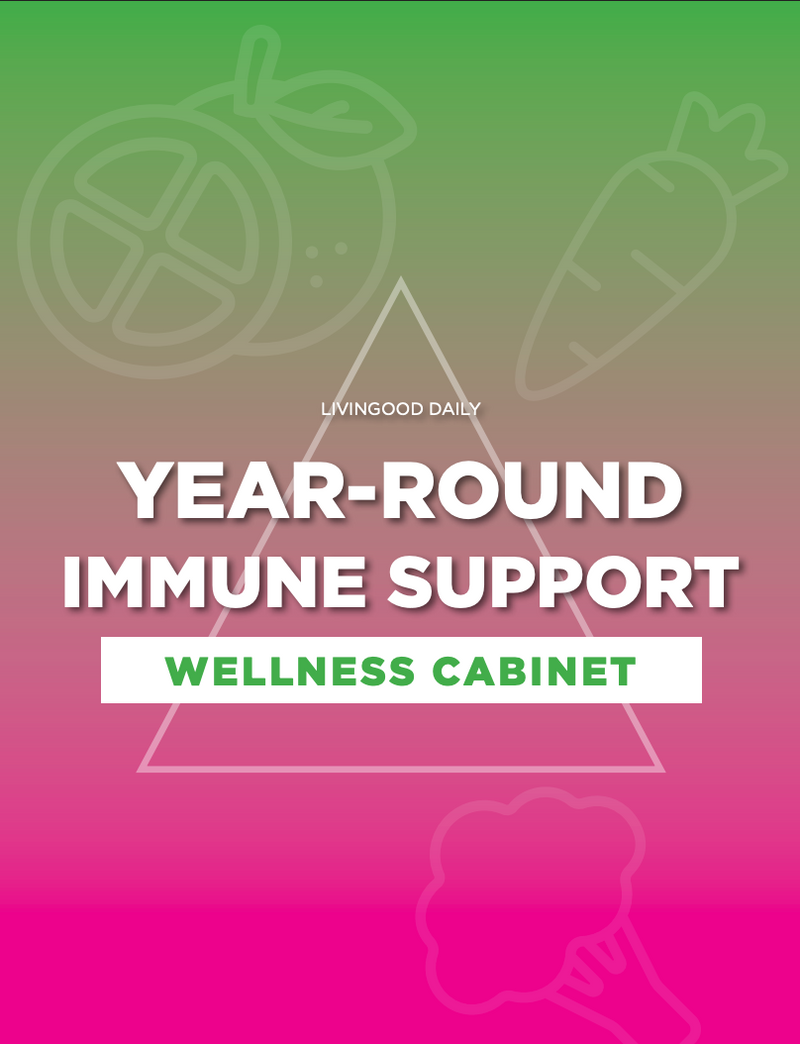  Year Round Wellness Guide