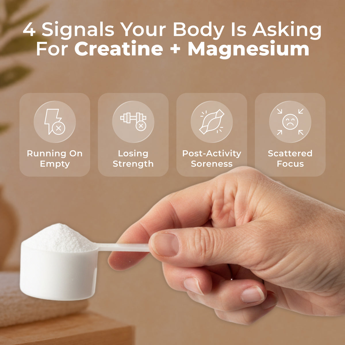 Livingood Daily Creatine + Magnesium