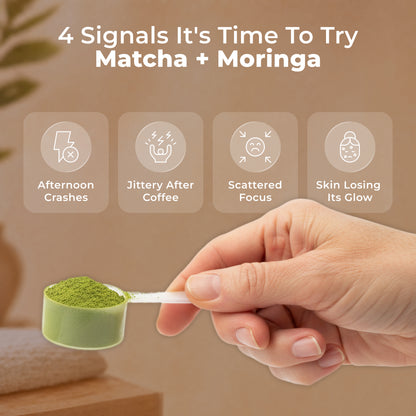 Livingood Daily Matcha + Moringa